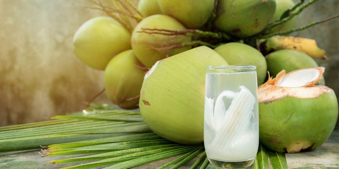Fresh Coconut in Ghana